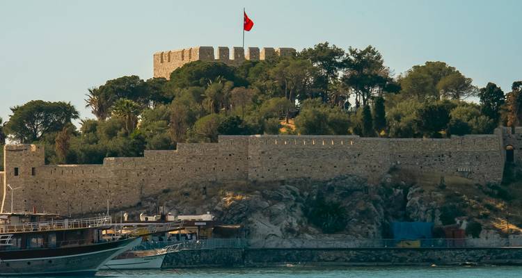 Fortaleza histórica con una bandera y árboles.