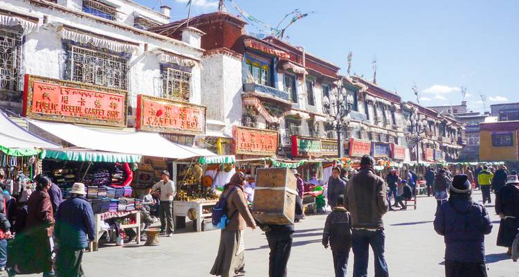 Voyage terrestre de 8 jours au Tibet, de Lhassa au camp de base de l'Everest - Alpine Luxury Treks Pvt Ltd 6