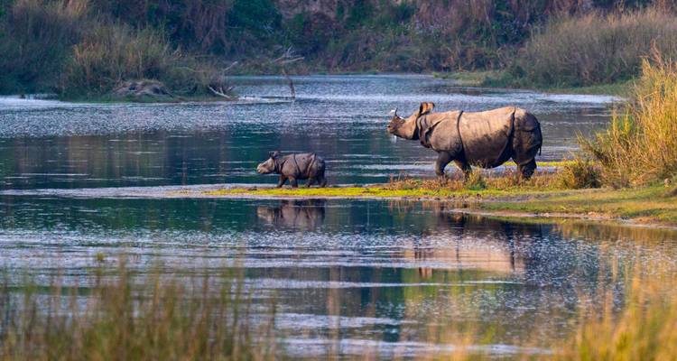 Circuit de 4 jours dans le parc national de Bardia - Alpine Luxury Treks Pvt Ltd 3