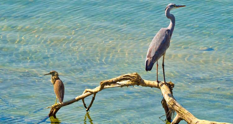 Circuit de 4 jours dans le parc national de Bardia - Alpine Luxury Treks Pvt Ltd 8
