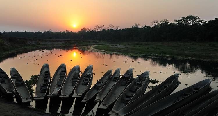2 Nuits 3 Jours Chitwan Jungle Safari - Alpine Luxury Treks Pvt Ltd 5