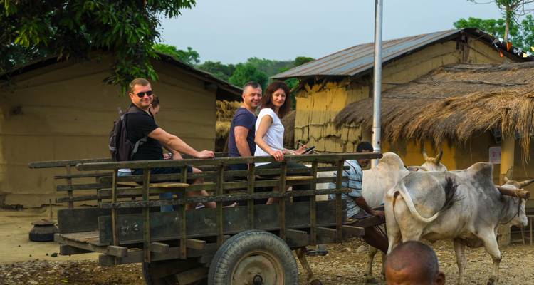 2 Nuits 3 Jours Chitwan Jungle Safari - Alpine Luxury Treks Pvt Ltd 8