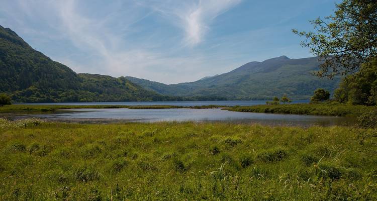 Dingle, Killarney & Wild Atlantic Way Small-Group Tour - 3 Days - Click Tours 4