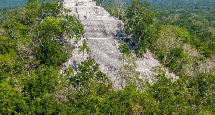 Alte Pyramide umgeben von dichtem Wald.