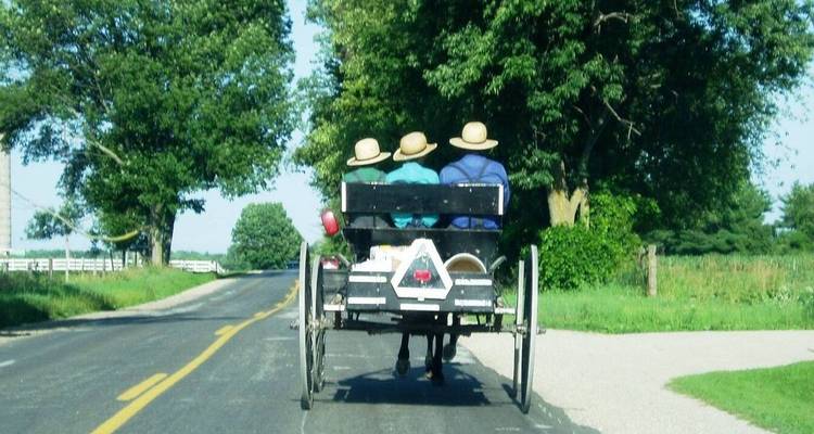 États-Unis : escapade américaine au départ de New York - 4 jours - Receptivo Aborigen Tours 10