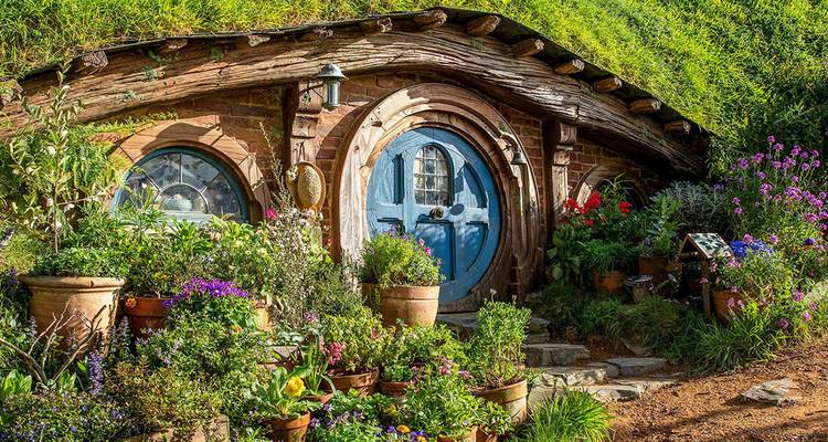 Charming Hobbiton cottage with round blue door surrounded by lush flowers and potted plants.