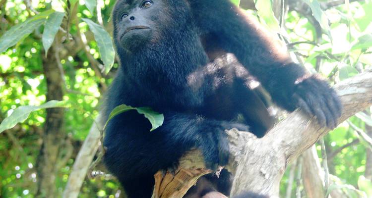 Belize & Guatemala round trip - 15 days from Mayan sites to the beautiful Caribbean (English speaking) - Oasis Travel 8