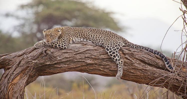 Afrique du Sud et chutes Victoria - Un voyage en petit groupe - Sky Vacations 7