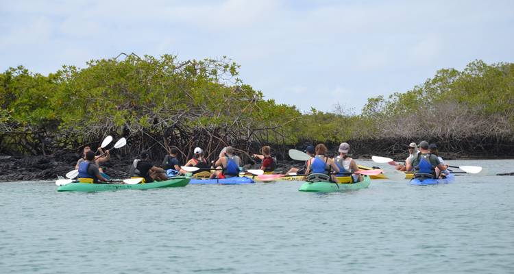 Créatures et criques : Galapagos Active - Authentic Ecuador 8
