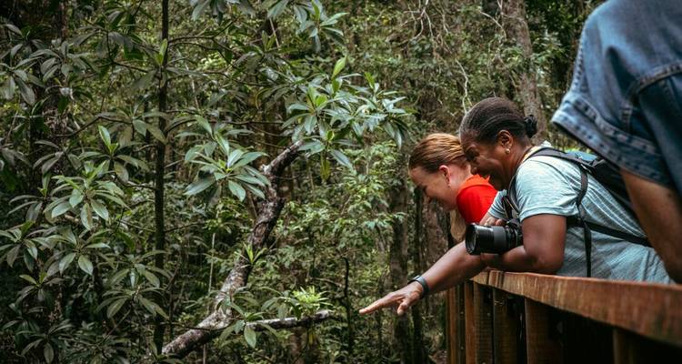 Deux personnes observant la nature depuis une passerelle en bois dans une végétation dense.