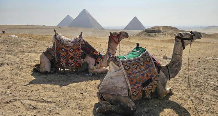Égypte Elite 10 jours : Tout compris 5 étoiles avec vols internationaux de n'importe où (GEM- Montgolfière - Abou Simbel - Alexandrie) - Itaca Holiday 8