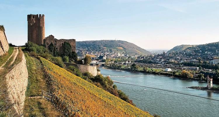 Historic castle ruins beside a river with vineyards.