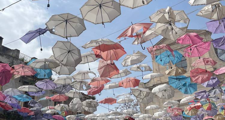 Artistic installation of hanging umbrellas in various colors.