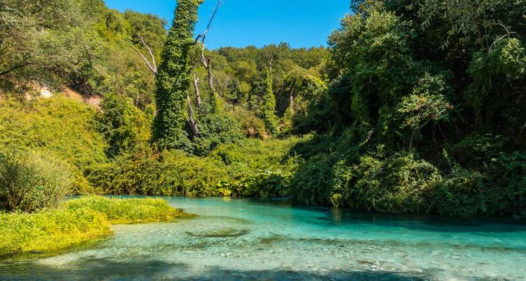 Lebendige Quelle nahe Blue Eye, umgeben von Bäumen