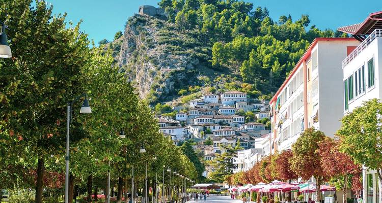 Baumgesäumte Straße in Berat mit Hanghäusern