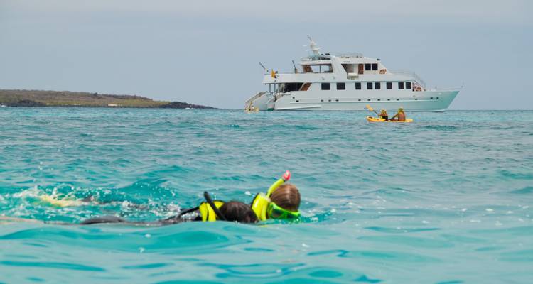 Snorkeller with yellow gear floats in clear blue water while a catamaran and kayakers sit in the background.