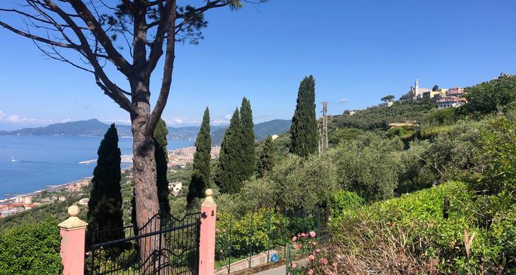 Mediterraner Hang mit Zypressenbaeumen und Olivenbaeumen, der auf eine ligurische Kuestenstadt und das Meer blickt.