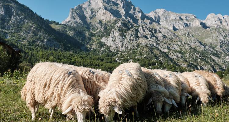 L'Albanie absolue : Berat Me Up & Beach Me Crazy ! - journaway DACH 3