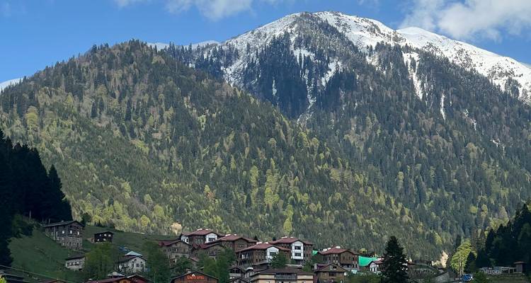 Snow-capped mountain with a village at its base.