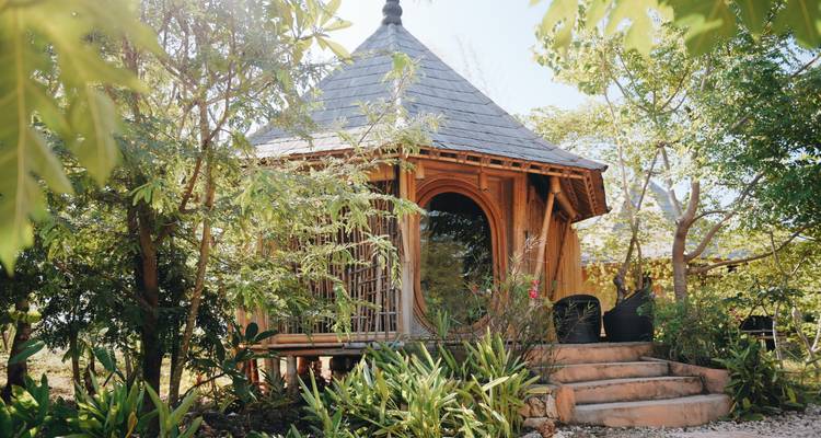 Cabane rustique en bois entourée d'une végétation luxuriante.