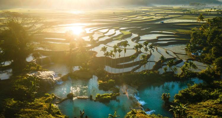 Vue aérienne de champs en terrasses et de bassins naturels au lever du soleil.