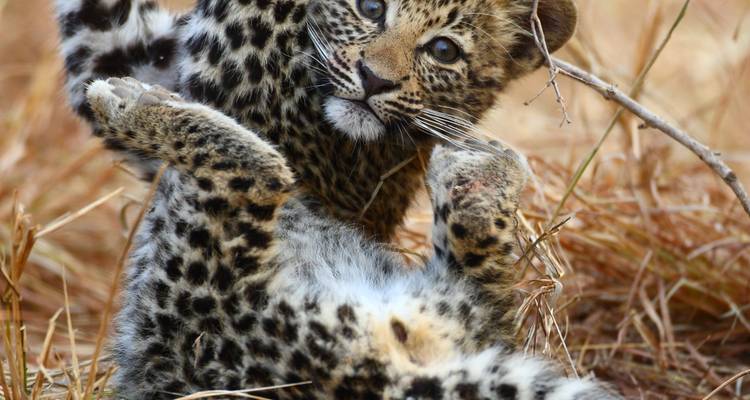 12 jours d'exploration de la Namibie - Safari familial privé avec activités adaptées aux enfants - T.S TOURS 6