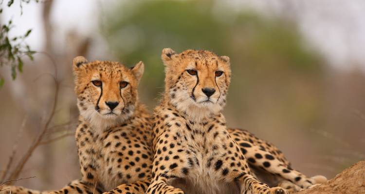 12 jours d'exploration de la Namibie - Safari familial privé avec activités adaptées aux enfants - T.S TOURS 10
