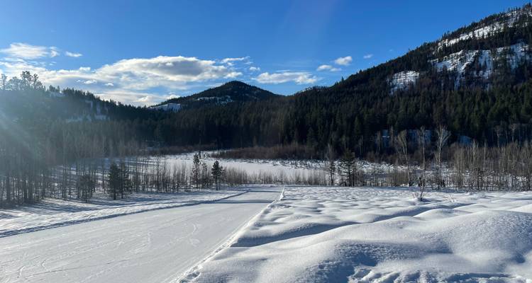Methow Valley Cross-Country Ski Tour - Bicycle Adventures 1