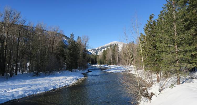 Methow Valley Cross-Country Ski Tour - Bicycle Adventures 8