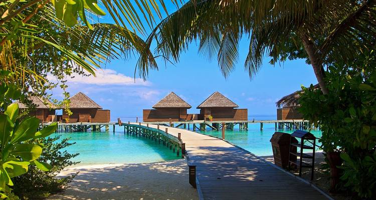 Tropical bungalow resorts with a scenic view through palm leaves.