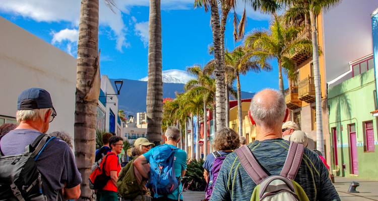 Los turistas pasean por una colorida calle bordeada de palmeras con el nevado Teide visible más allá de los tejados.
