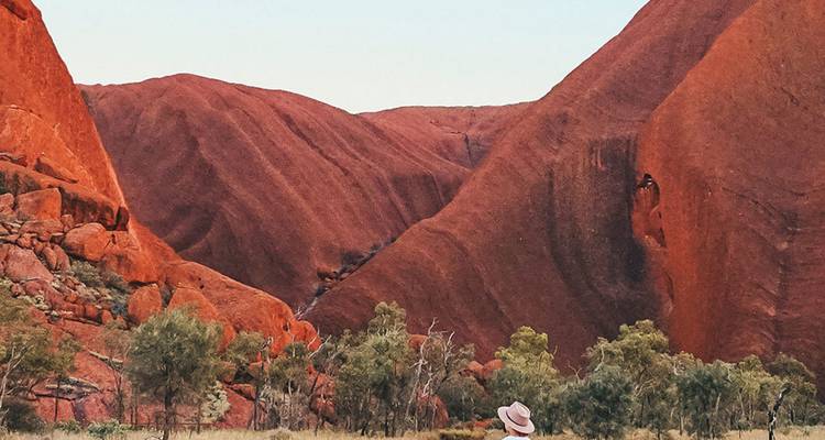 Voyageur portant un chapeau à large bord marchant à travers une vallée spectaculaire de roches rouges avec des arbres clairsemés au premier plan.