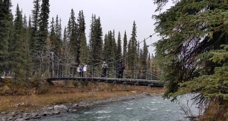 Aurores boréales et couleurs d'automne en Alaska - USA - Bucket List Group Travel LLC 4