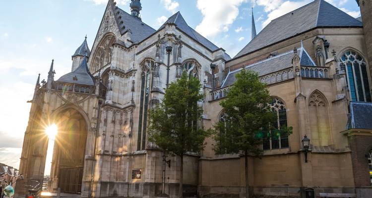 Rhine City & Wellness 2025 - A-ROSA 2