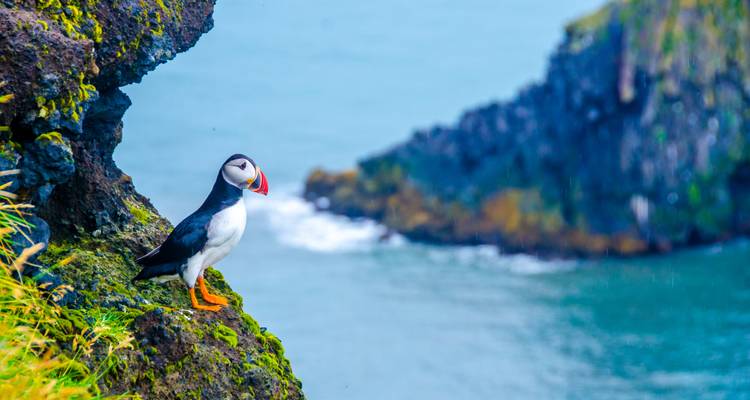 Eternal Nights, Endless Love: Reykjavík for Two - Worldee 3