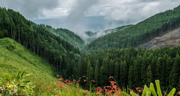 Açores : paysages volcaniques et routes côtières - Worldee 3
