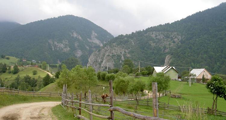 Self-Drive and Off-Road Exploration of Romania’s Carpathian Wilderness - 8 Days - Medraft 5