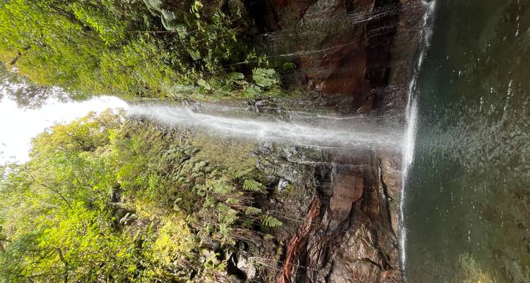 Endless Spring, Timeless Beauty – Madeira Awaits - Worldee 9