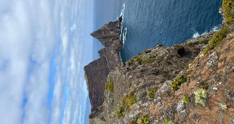 Endless Spring, Timeless Beauty – Madeira Awaits - Worldee 7