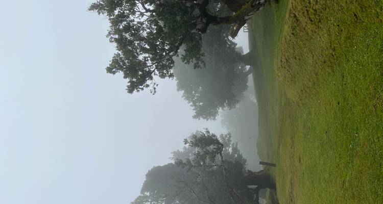 Endless Spring, Timeless Beauty – Madeira Awaits - Worldee 6