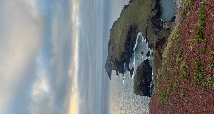 Endless Spring, Timeless Beauty – Madeira Awaits - Worldee 5