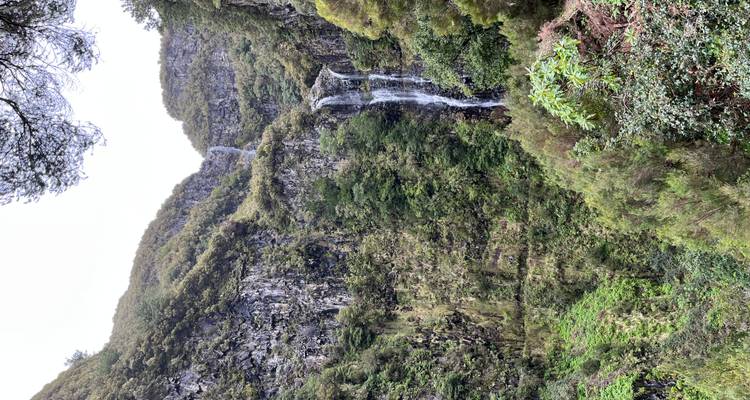 Endless Spring, Timeless Beauty – Madeira Awaits - Worldee 3