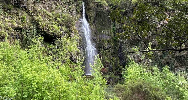 Active Madeira on Your Own - Worldee 7