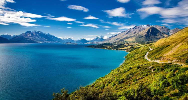 New Zealand Highlights 12 days - Vio Travel 3