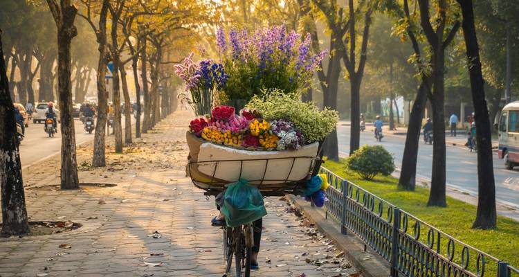 Bicycle filled with colorful flowers on a tree-lined street.