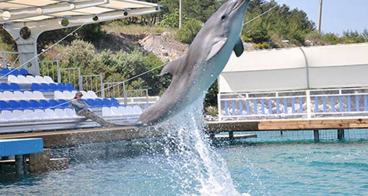 Bodrum : Holidays with children full of laughter - Worldee 8