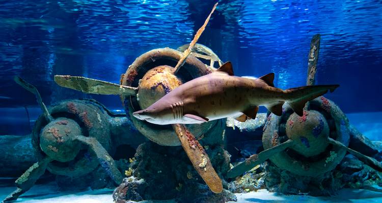 Sun, Sea, Adventure: Antalya is waiting - Worldee 3