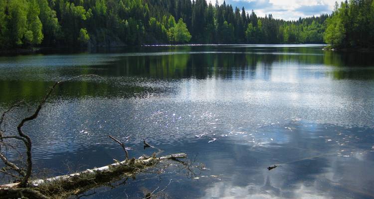 Nordic Pulse: A City Break in Oslo - Worldee 5