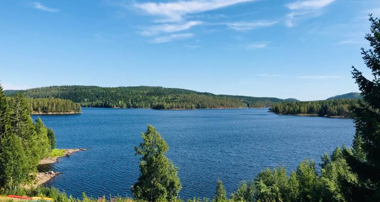 Nordic Pulse: A City Break in Oslo - Worldee 6
