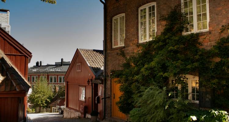 Rue pittoresque avec des bâtiments historiques en bois et des murs couverts de lierre.
